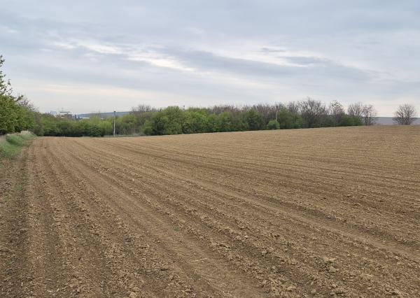 Predám pozemok - Horné Krškany, Nitra 11583m2.