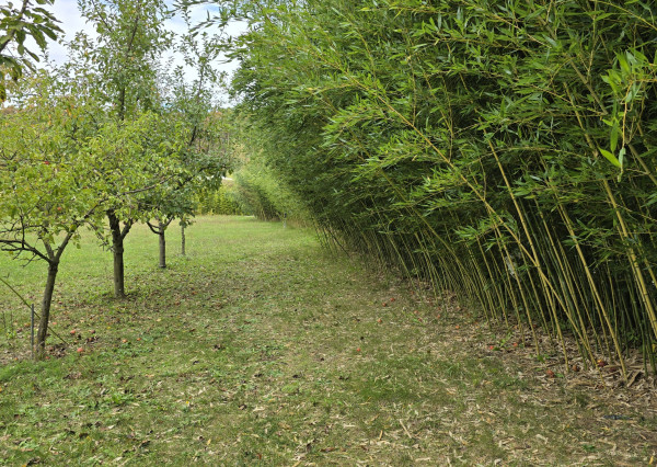 Luxusná dizajnová vila v Lozorne s bazénom a kinom