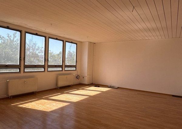 Multifunkčný priestor na prenájom - 120 m2, Pestovateľská ul.