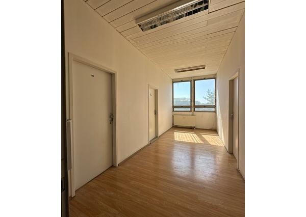 Multifunkčný priestor na prenájom - 120 m2, Pestovateľská ul.