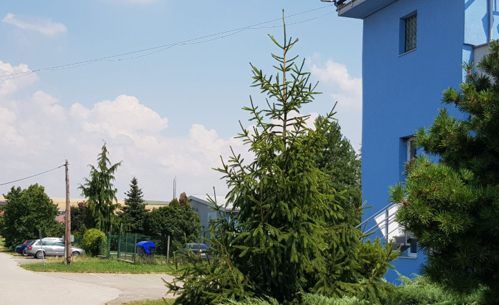 Predám pozemok na nitrianskom letisku v Janíkovciach. - fotografia 7