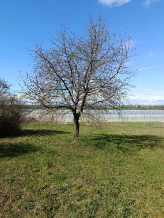Na predaj 24 árový pozemok s chatou. - fotografia 6