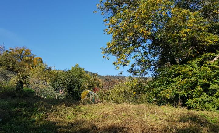 Predám stavebný pozemok na RD v Banskej Štiavnici. - fotografia 6
