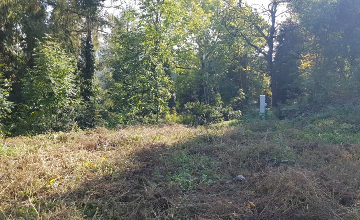 Predám stavebný pozemok na RD v Banskej Štiavnici. - fotografia 8