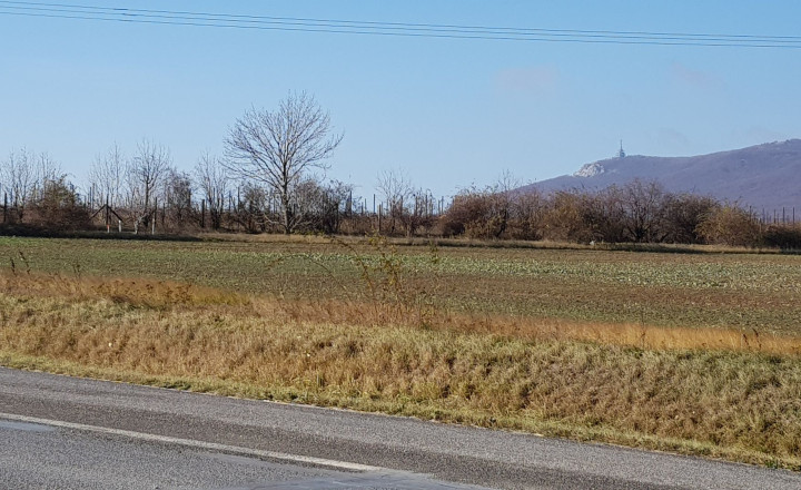 Predám pozemok na Zlatomoraveckej ceste pri Nitre, 6492m2. - fotografia 4