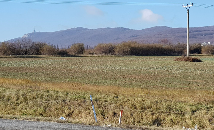 Predám pozemok na Zlatomoraveckej ceste pri Nitre, 6492m2. - fotografia 6