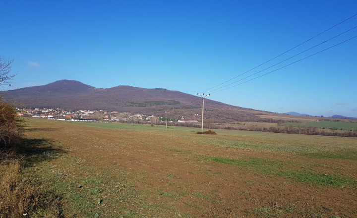 Predám pozemok na Zlatomoraveckej ceste pri Nitre, 6492m2. - fotografia 12