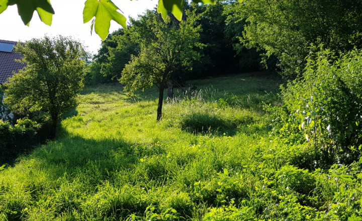 Predám dva stavebné pozemky pod lesom Nitra - Zobor, 1635m2. - fotografia 2