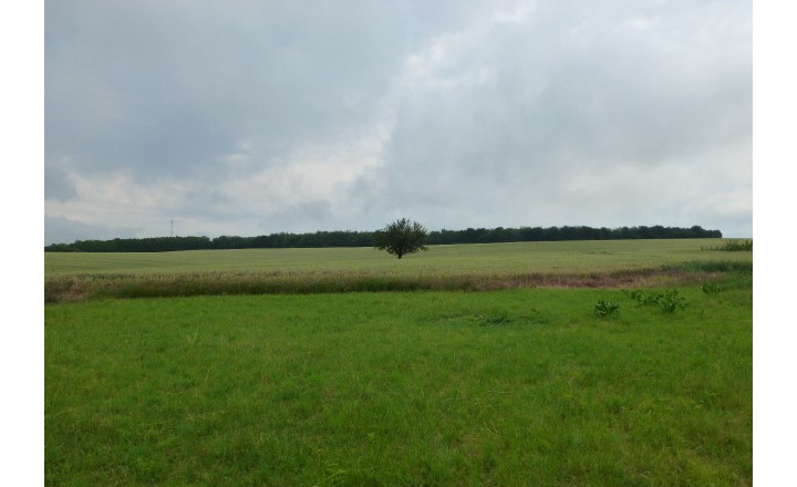 Vidiecky dom s veľkým pozemkom v peknom prostredí. - fotografia 33