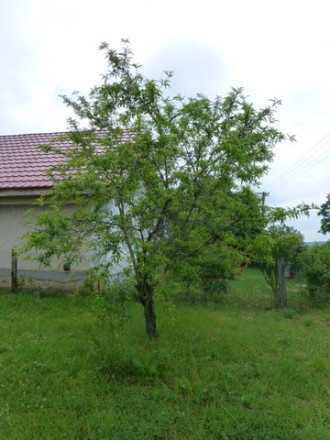 Vidiecky dom s veľkým pozemkom v peknom prostredí. - fotografia 32