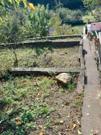 Záhradka na predaj _ Bánovce nad Bebravou - fotografia 3