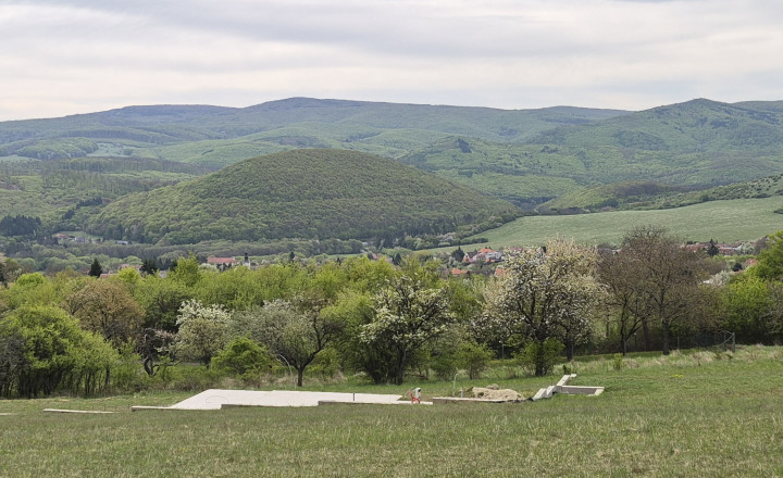 Predám stavebný pozemok Jedľové Kostoľany + stav. povolenie. - fotografia 1
