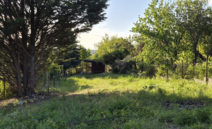 Predám 3 pozemky Nitra - Zobor -Šindolka. 600, 650, 650. - fotografia 5