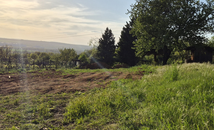 Predám 3 pozemky Nitra - Zobor -Šindolka. 600, 650, 650. - fotografia 3