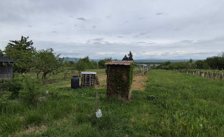 Predám chatu s vínnou pivnicou a vinohradom Dolné Krškany - Bita. - fotografia 5