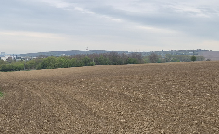 Predám pozemok - Horné Krškany, Nitra 11583m2. - fotografia 4
