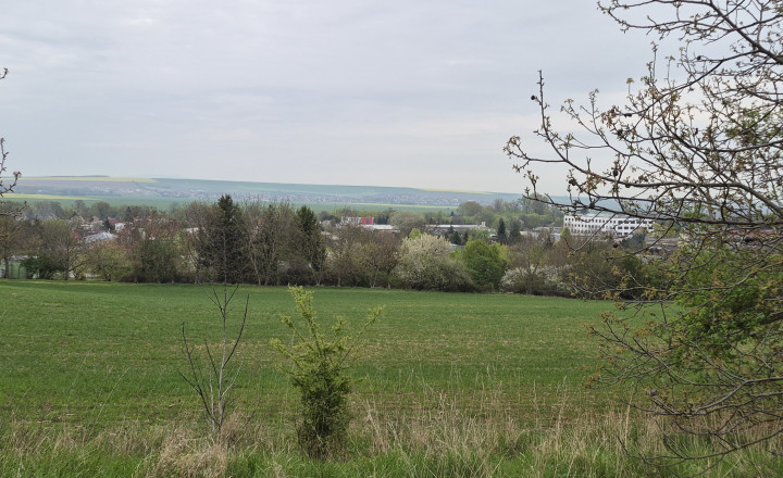 Predám pozemok - Horné Krškany, Nitra 11583m2. - fotografia 5