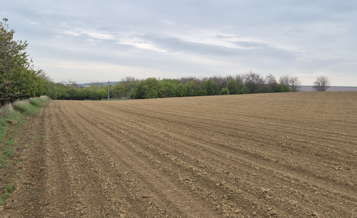 Predám pozemok - Horné Krškany, Nitra 11583m2. - fotografia 7