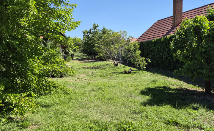 Predám pozemok v Janíkovciach - Nitra 1191m2. - fotografia 6