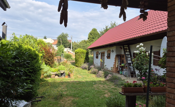 REZERVOVANÝ. - fotografia 3