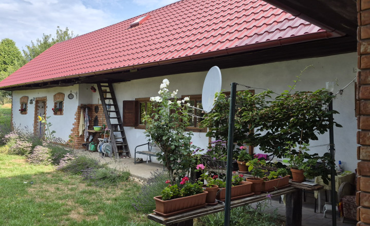 REZERVOVANÝ. - fotografia 6