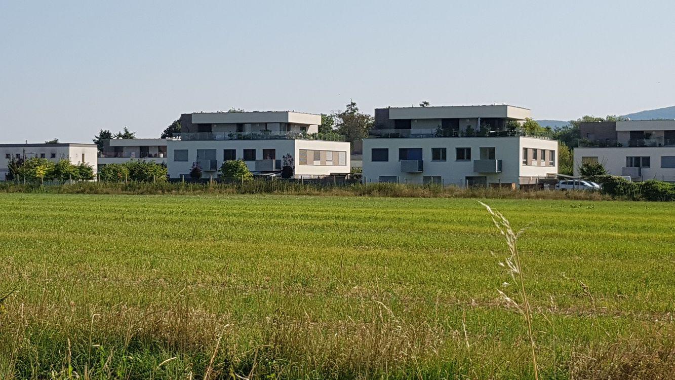 Predám pozemok Nitra - Kynek 6252m2.