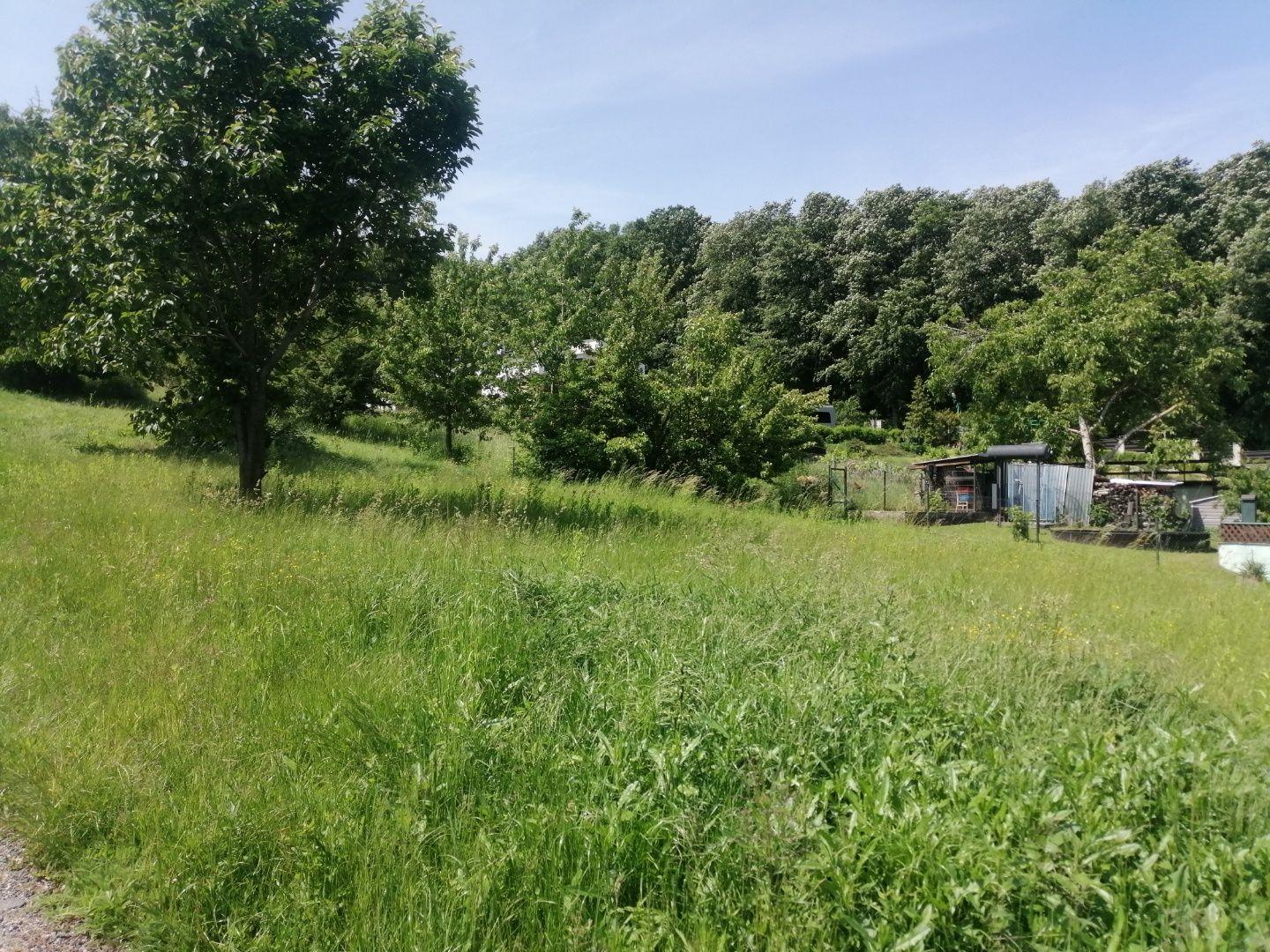 Exkluzívny predaj pozemku vo vyhľadávanej lokalite, Podhájska