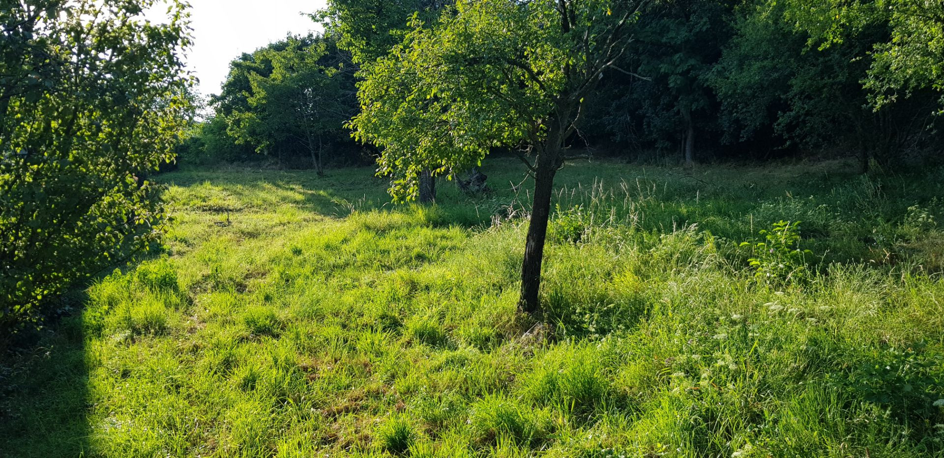 Predám dva stavebné pozemky pod lesom Nitra - Zobor, 1635m2.