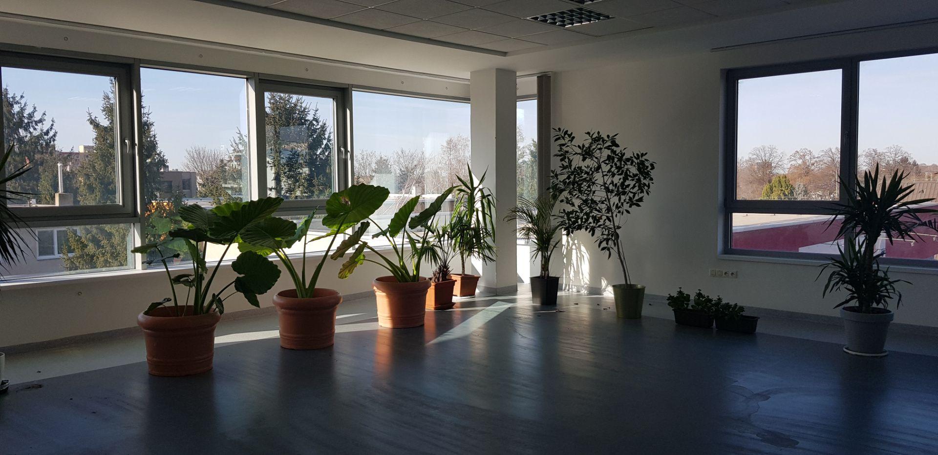 Prenajmem 60m2 kancelárske priestory pri R1 v Nitre.