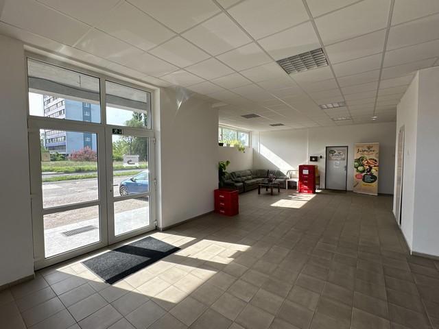 Multifunkčný priestor na prenájom – 220 m², Na Pántoch