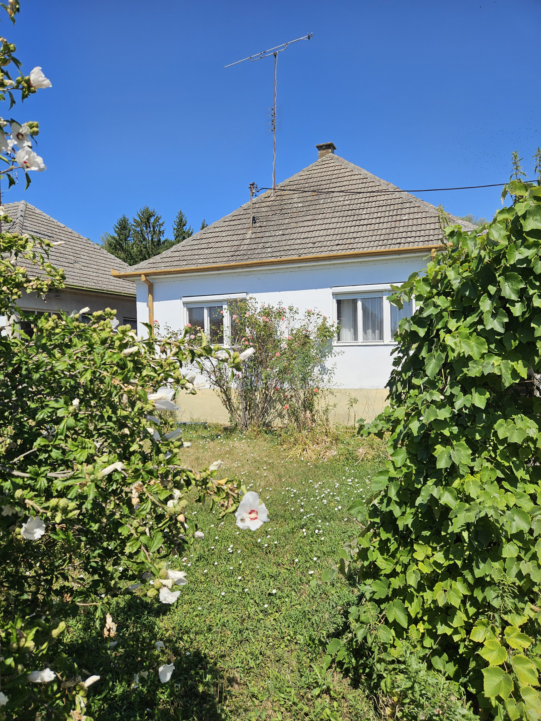 Na predaj rodinný dom v obci Ratnovce s krásnym  pozemkom 1202m2