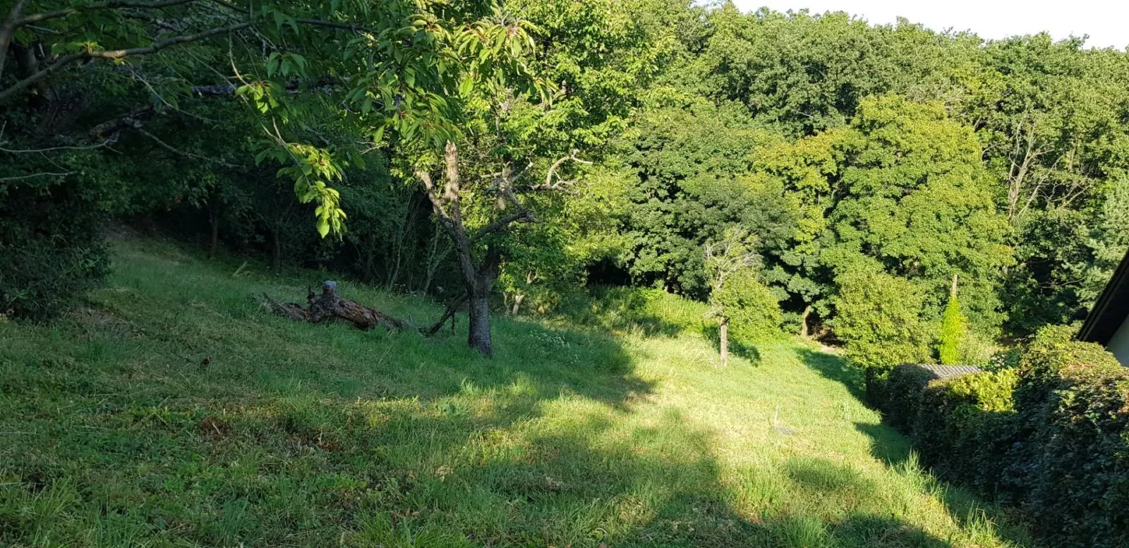 Predám dva stavebné pozemky pod lesom Nitra - Zobor, 1635m2., fotografia 5