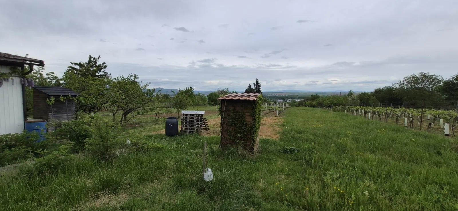 Predám chatu s vínnou pivnicou a vinohradom Dolné Krškany - Bita., fotografia 5