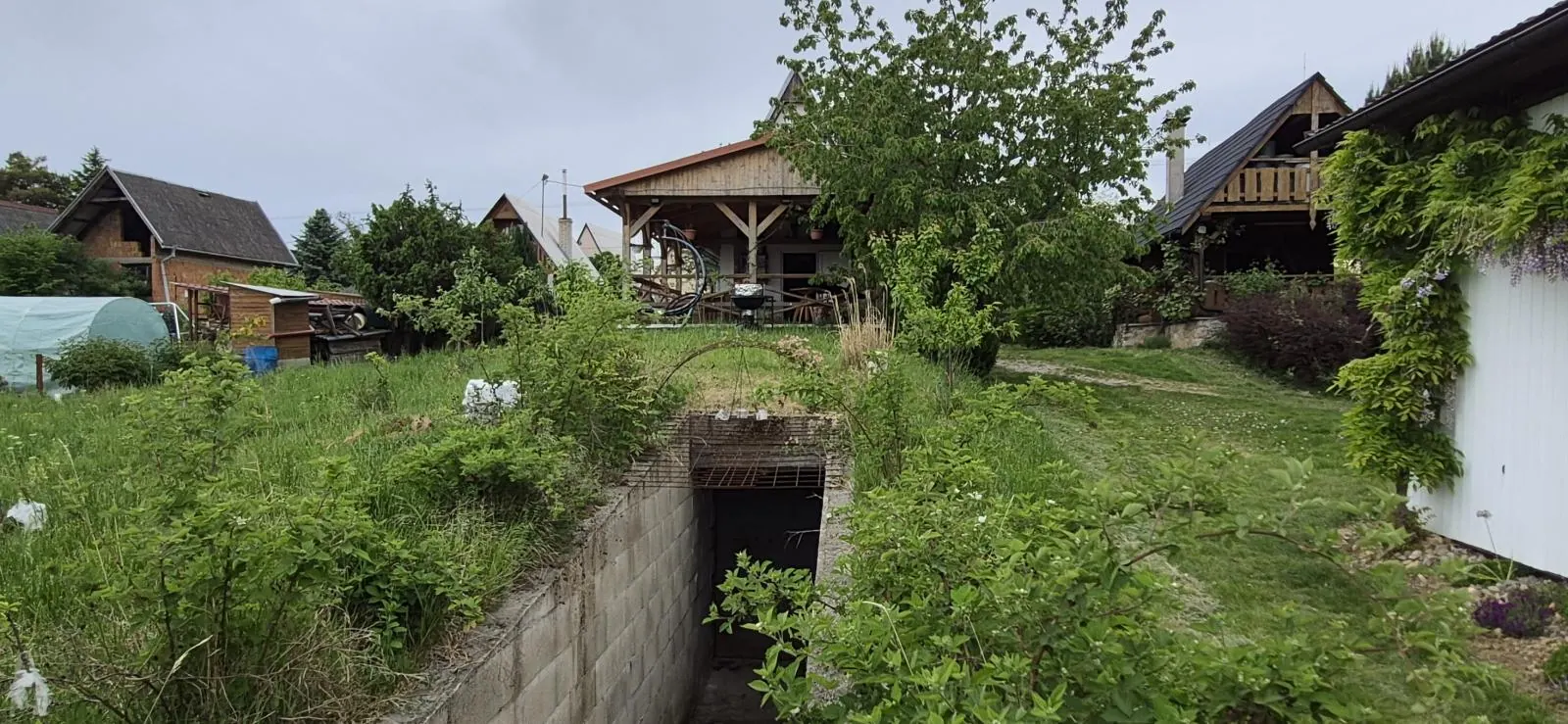 Predám chatu s vínnou pivnicou a vinohradom Dolné Krškany - Bita., fotografia 6