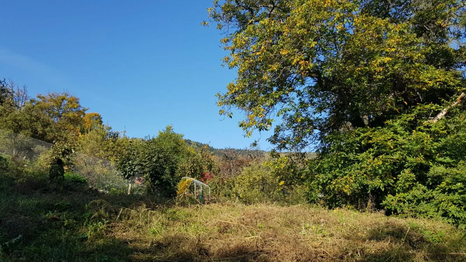 Predám stavebný pozemok na RD v Banskej Štiavnici., fotografia 6