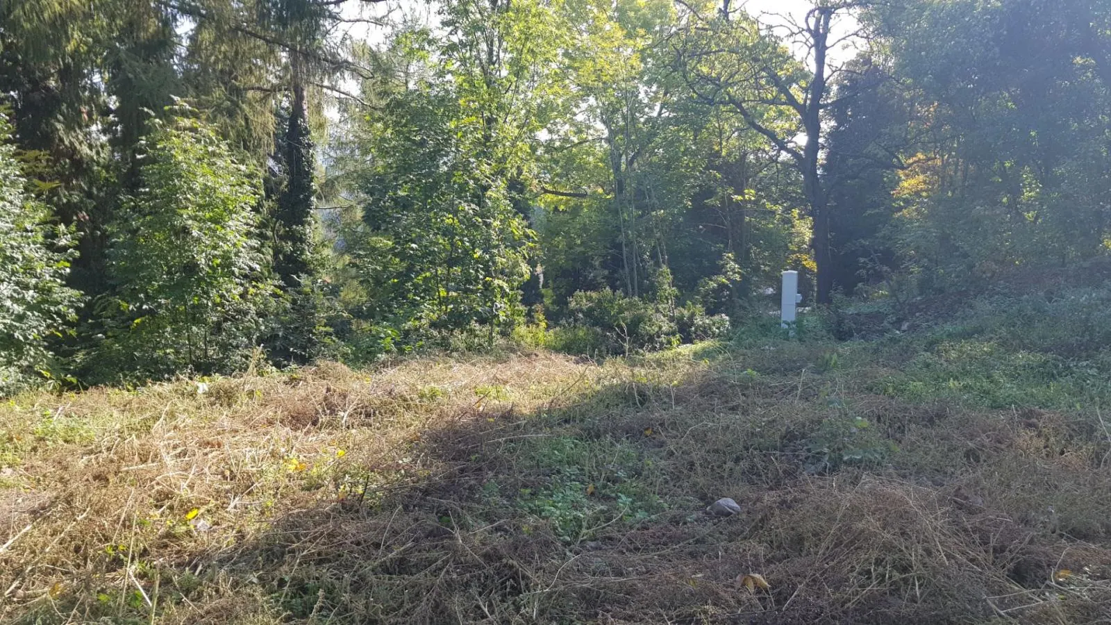 Predám stavebný pozemok na RD v Banskej Štiavnici., fotografia 8