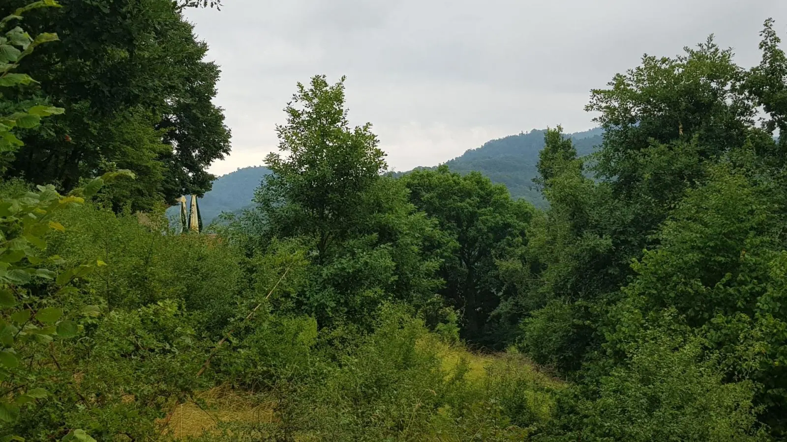 Predám pozemok vo Vyhniach + stavebné povolenie na chatu., fotografia 21