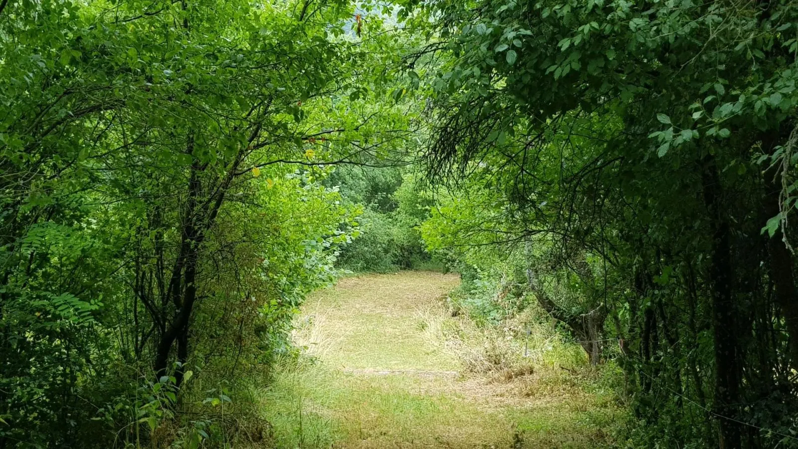 Predám pozemok vo Vyhniach + stavebné povolenie na chatu., fotografia 20
