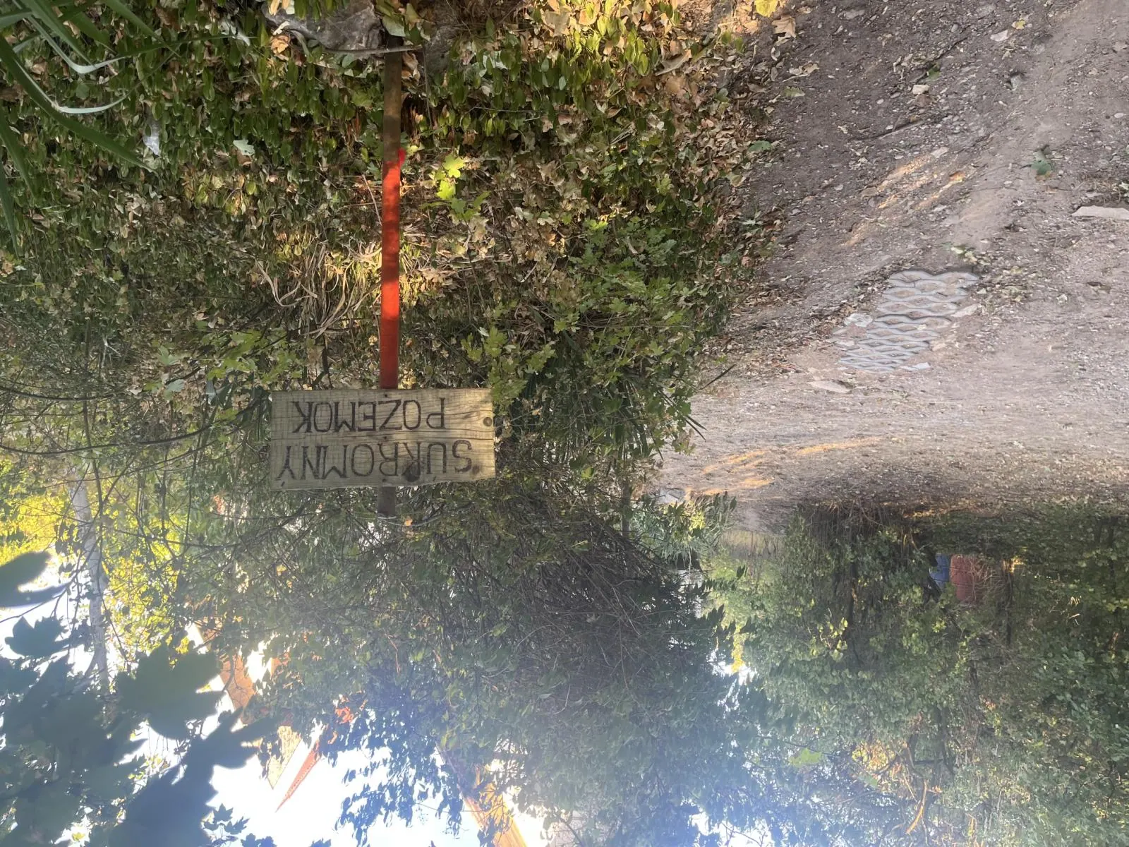 Chatka s veľkým pozemkom 800 m² – Dražovce, fotografia 7
