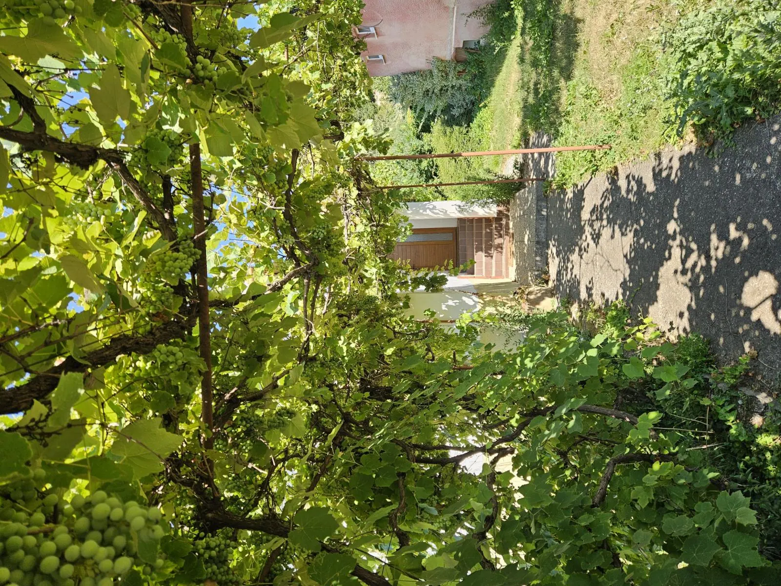 Na predaj rodinný dom v obci Ratnovce s krásnym pozemkom 1202m2, fotografia 2